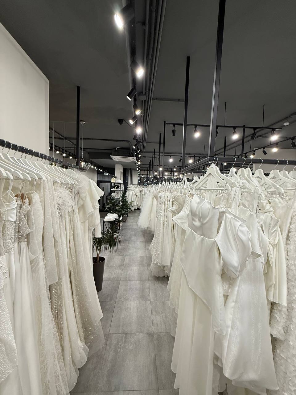 photo_2025-10-20_19-58-03